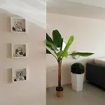 Daire Elena'S Hotel & Apartments Saranda
